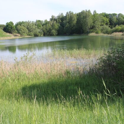 Загадочное озеро Тарау близ церкви. Возникло зимой 1944/45 г. Фото А.М. 26.05.2012